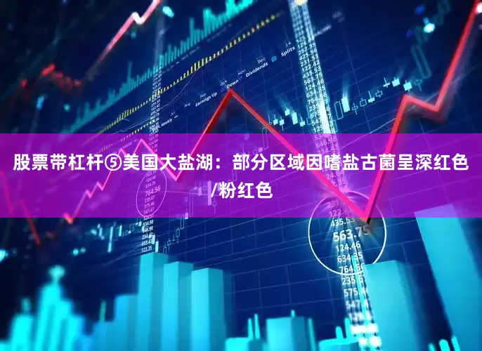 股票带杠杆⑤美国大盐湖：部分区域因嗜盐古菌呈深红色/粉红色
